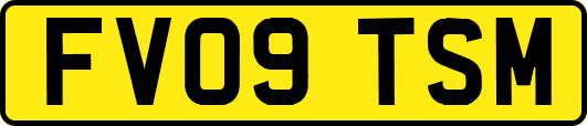 FV09TSM