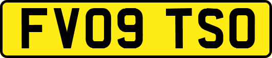 FV09TSO