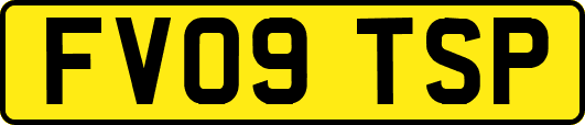 FV09TSP