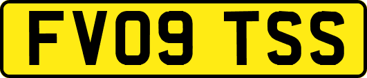 FV09TSS