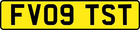 FV09TST