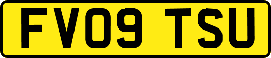 FV09TSU