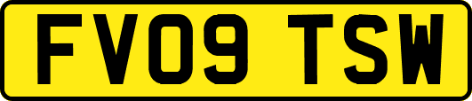 FV09TSW