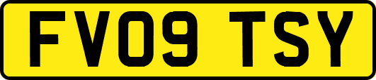 FV09TSY