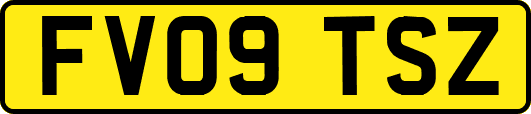 FV09TSZ