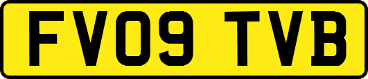 FV09TVB