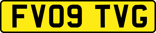 FV09TVG