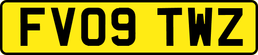 FV09TWZ