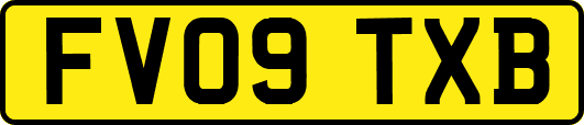 FV09TXB
