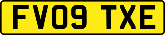 FV09TXE