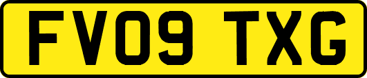 FV09TXG