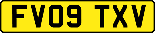 FV09TXV