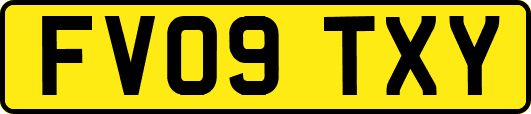 FV09TXY