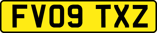 FV09TXZ