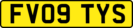 FV09TYS