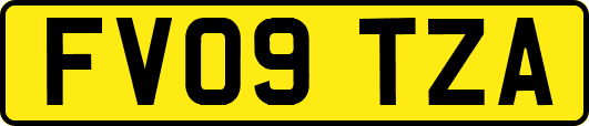 FV09TZA