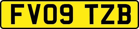 FV09TZB