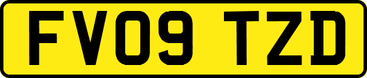 FV09TZD