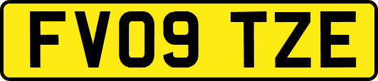 FV09TZE