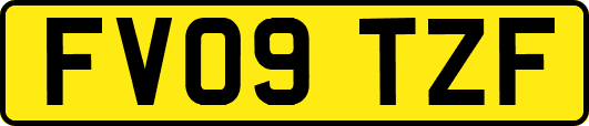 FV09TZF