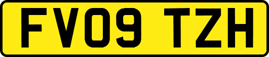 FV09TZH