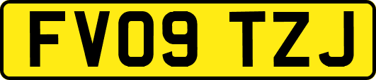 FV09TZJ