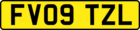 FV09TZL