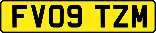 FV09TZM
