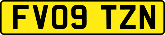 FV09TZN