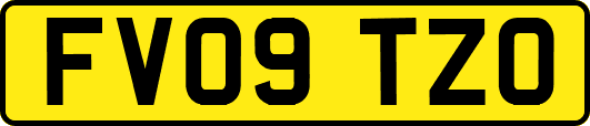 FV09TZO