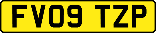 FV09TZP