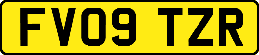 FV09TZR