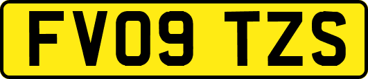 FV09TZS