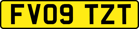 FV09TZT
