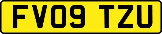 FV09TZU