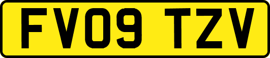FV09TZV