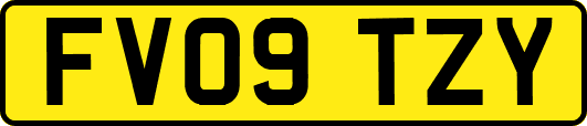 FV09TZY