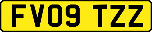 FV09TZZ