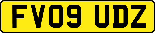 FV09UDZ