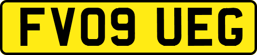 FV09UEG