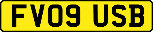 FV09USB