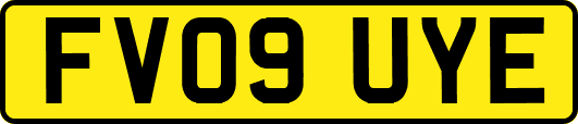 FV09UYE