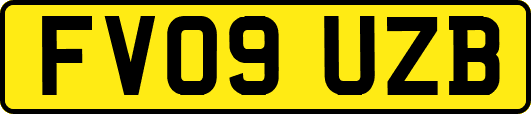 FV09UZB