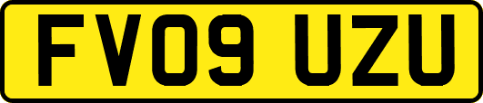 FV09UZU