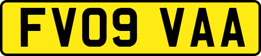 FV09VAA