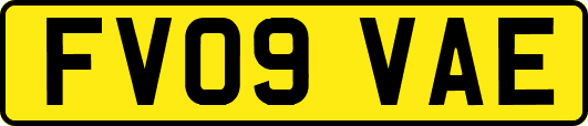 FV09VAE