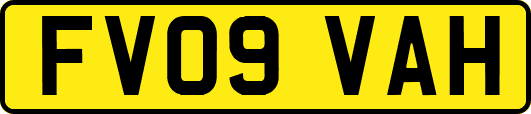 FV09VAH