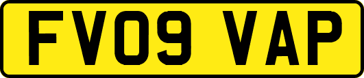 FV09VAP