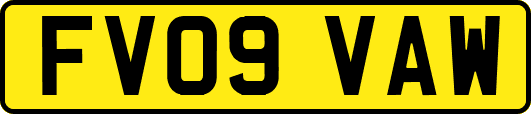 FV09VAW