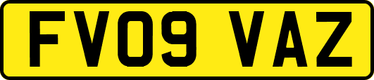 FV09VAZ